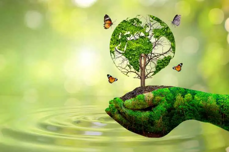 Environment & Climate Change