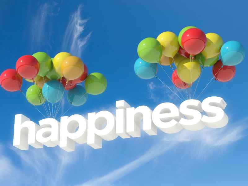 The Pursuit of Happiness